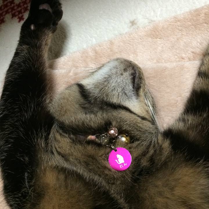 Dfb868fe 5963 4b2c a7f4 e42350f8a1b5