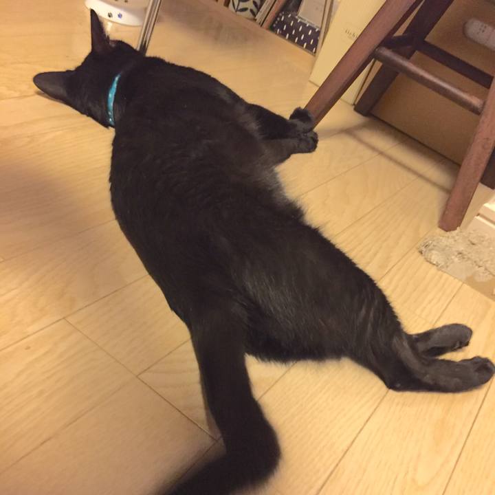 Dfb883b7 7dc7 438f a4ae 0932d9531ef1