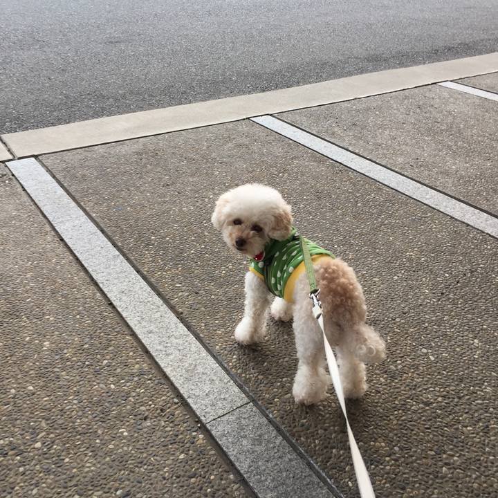 Dfb91049 2266 4911 95d0 7ddf08aaa82a