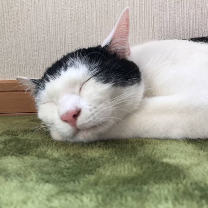 Dfb97d8e ba2d 44cc 8b6e 39167c63e654