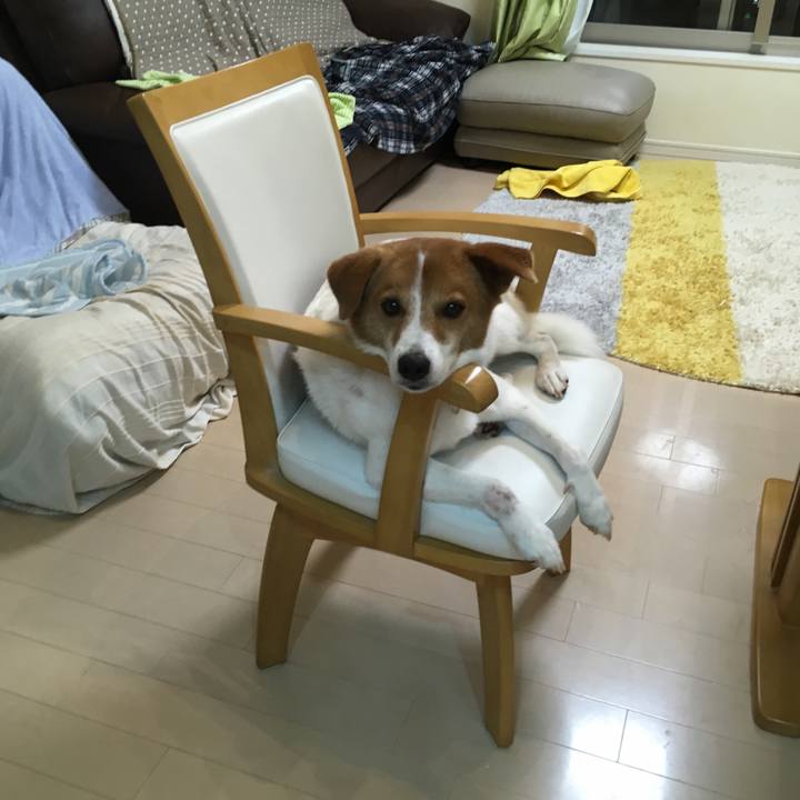 Dfb985ba e6e3 475c ab2d ff7c0698839b