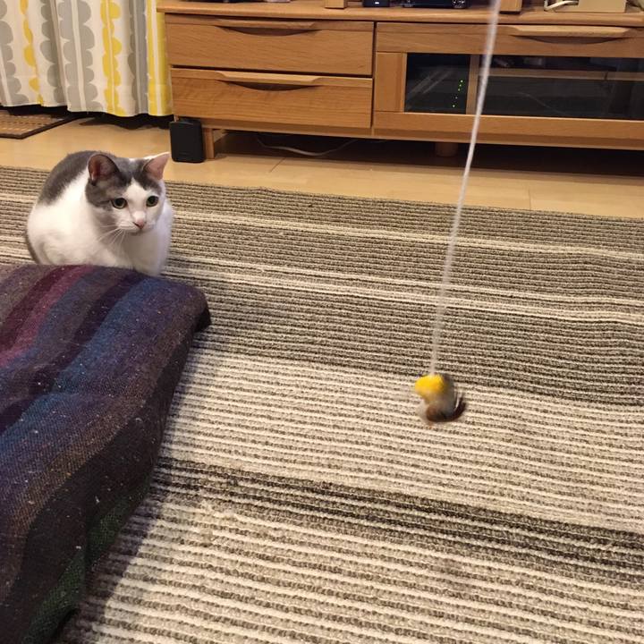 Dfba1126 acc5 47c3 a81e ec21b80a140b