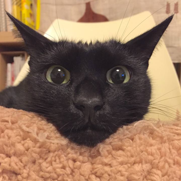 Dfbb212c 25f5 41ef afd6 2dbb2a6da347