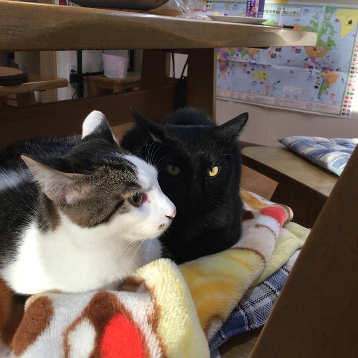 Dfbb3c0a 3c49 4c50 987b f7b88cb203ee