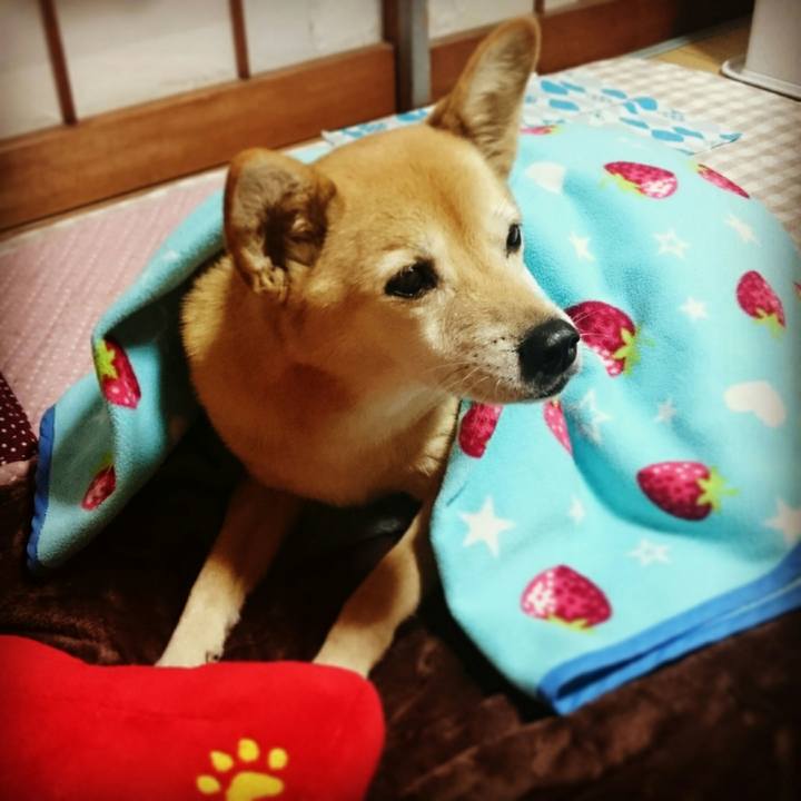 Dfbbefae 4d47 4d93 b7b7 7e267f5fccfa