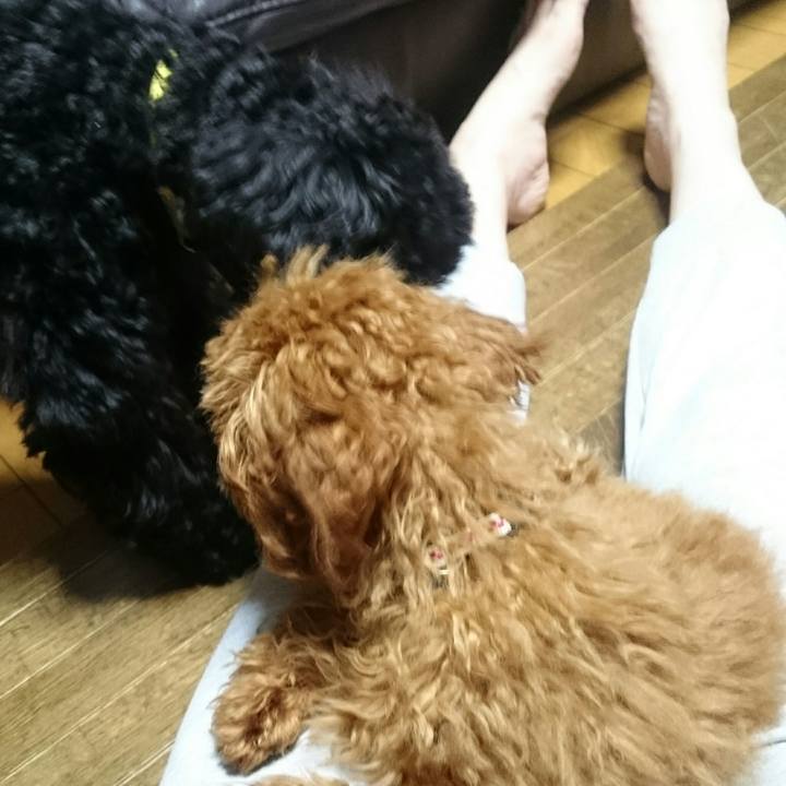 Dfbcf681 2db3 4ea8 8a2a b9c730fda7f1