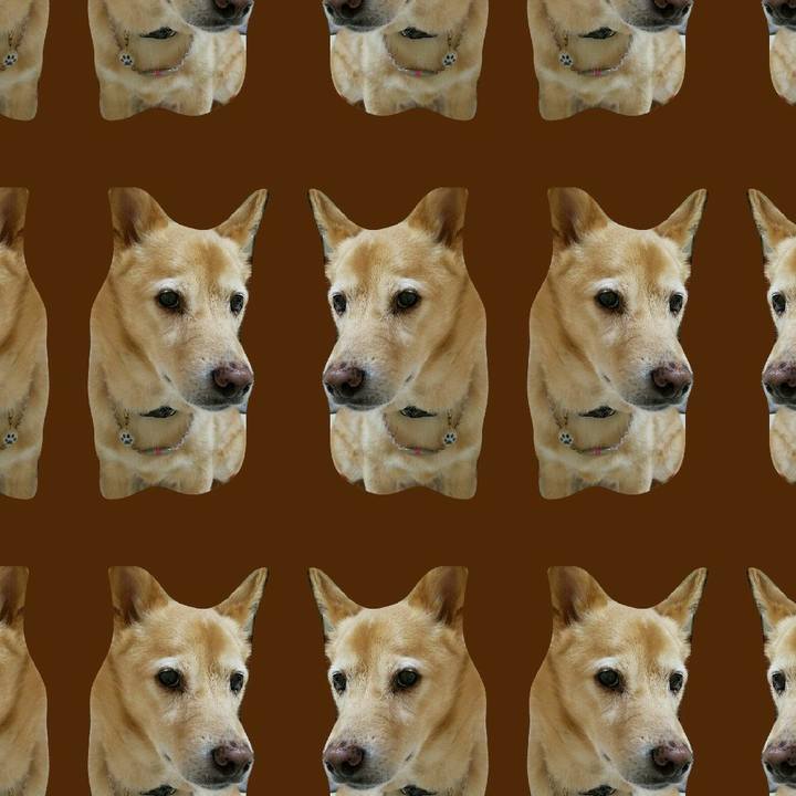 Dfbd5b30 953f 43b4 9ed9 b9834cf28032