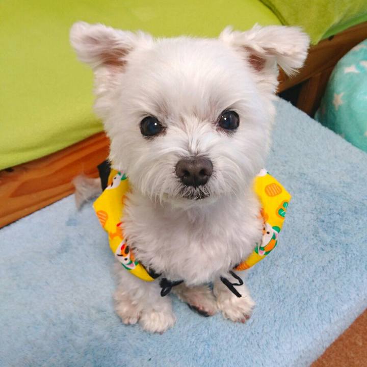 Dfbd7678 0b6e 4c1d 8ebe 696d983dba61