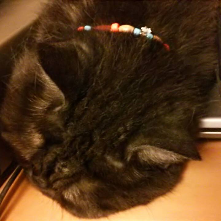 Dfbd9667 4de8 4d15 8215 b73748a18539