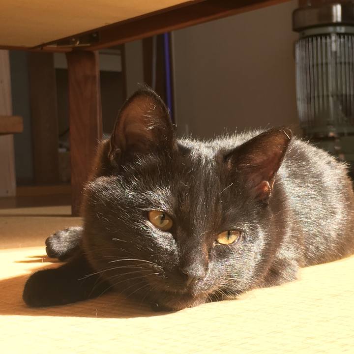 Dfbe2c5a d696 43f6 889b 4d2ef56a57a1