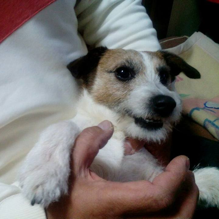 Dfbe33a2 b480 4743 af30 5a20524a3f5d