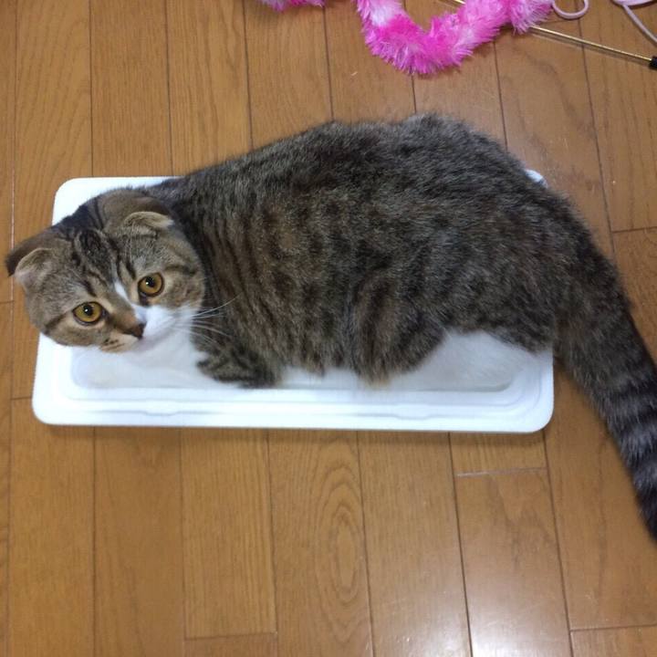 Dfbf2ce0 0085 4abb 97a9 19fd15f09ff0