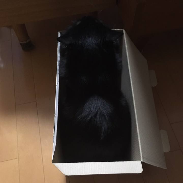 Dfbfcfaa c8b1 4a56 b8aa 72333d1e89ac