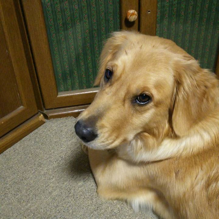 Dfc002bf eef6 43dd a7db 826ececff422