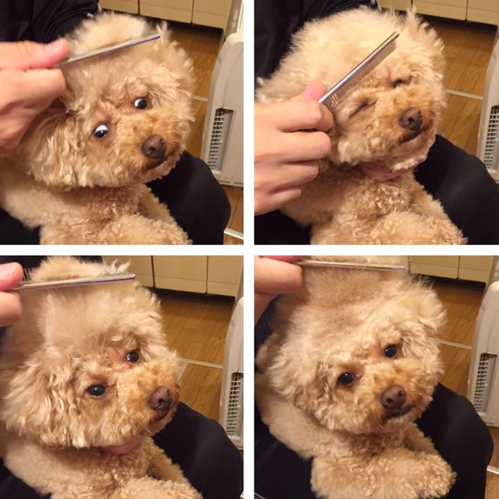 Dfc026e0 f6c5 41e3 b636 b6577ca7a518