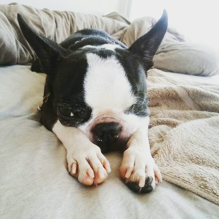 Dfc036d2 24b0 44e0 a41c 9b0b8a6e1e3d