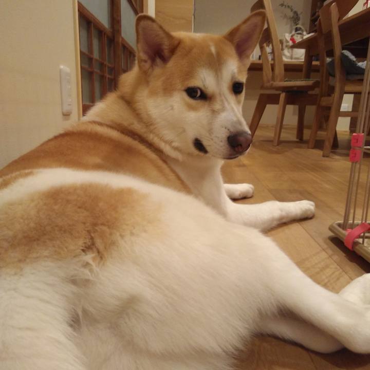 Dfc0d6f5 cbfd 48b5 8dda 051fd8ca3d95