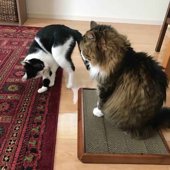 Dfc0e102 3b55 4ff8 940b d129a62dbfe7