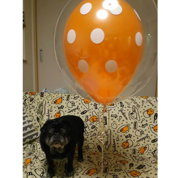 Dfc12cf8 0535 48d4 b6ab c02b839c4f84