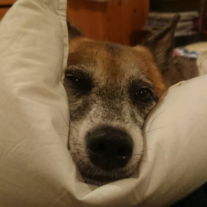 Dfc18046 27d7 4fba 9d18 eea479a10dbe