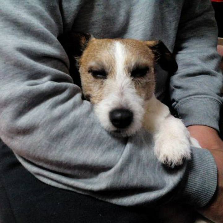 Dfc1dd9c 94fc 4ab6 a6a0 32c4ab1b55aa