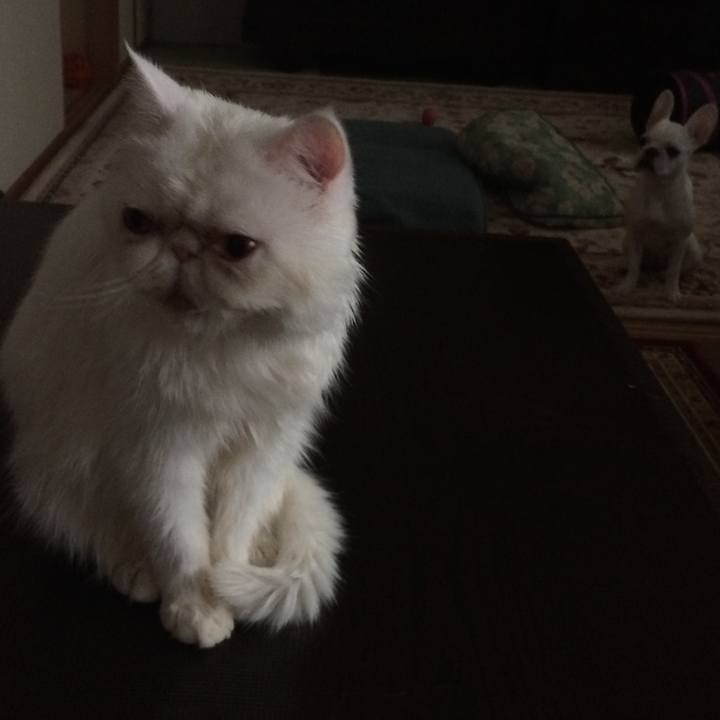 Dfc2d57b 7c46 4496 b76e b37c3b2fb334