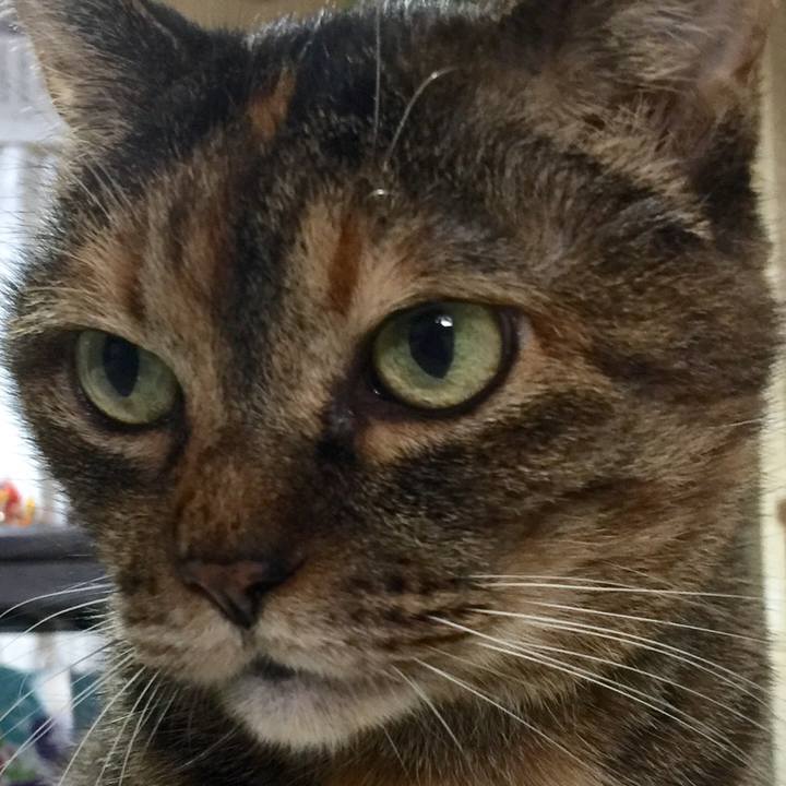 Dfc31f9e 300a 4b38 bbd7 20528e1539cd