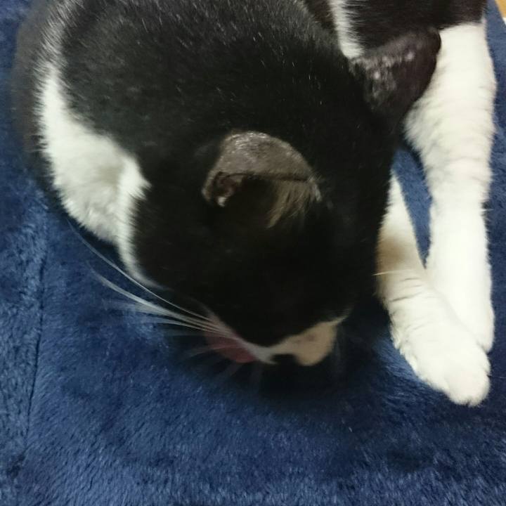 Dfc3a933 7191 4d5b 890f 4bd0402a827d