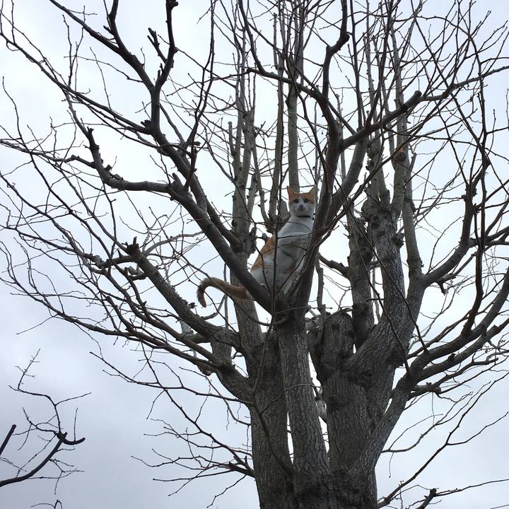 Dfc3dd94 a301 4f9d b942 4a07b8da42f6