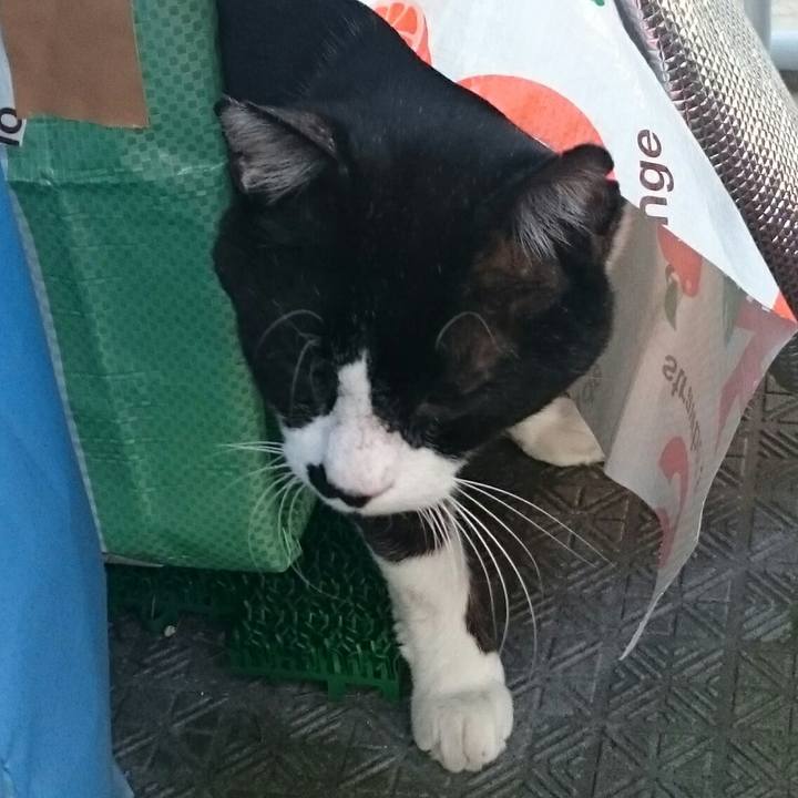 Dfc3ef3a b79d 49b4 8e1e b3d0799844c8