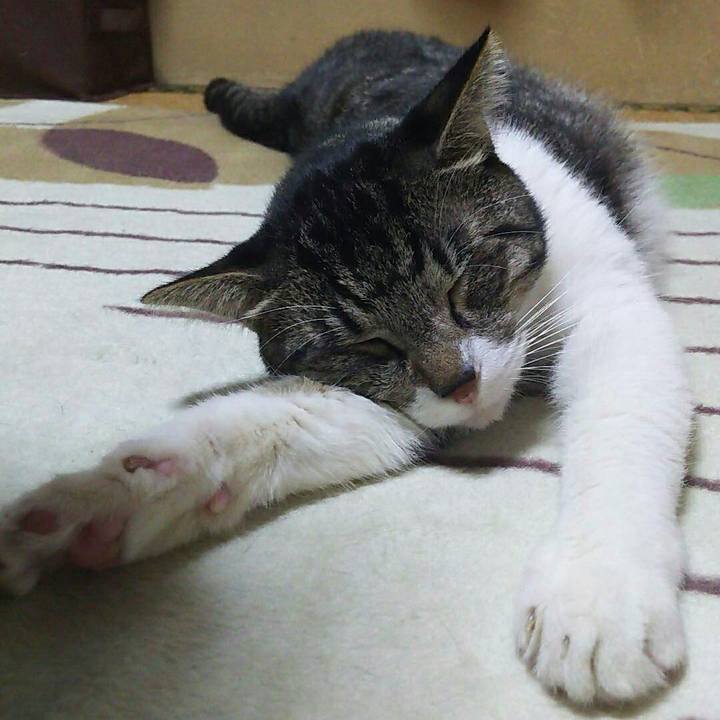 Dfc40b76 4bc8 44f3 b139 d647842bac30