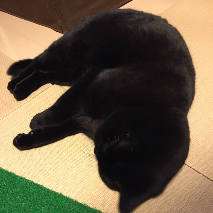 Dfc40c04 1eaf 494a b6ed 3159eafa000b