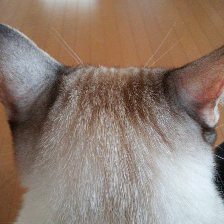 Dfc42dc9 28a5 4717 b460 b58c00b9c868