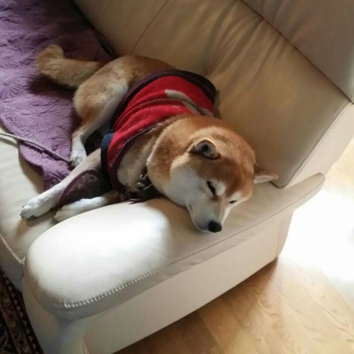 Dfc43793 09f1 4a66 b777 c9493e428f3f