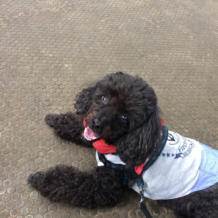 Dfc58518 a2e5 483c 9c10 d114962cf6de