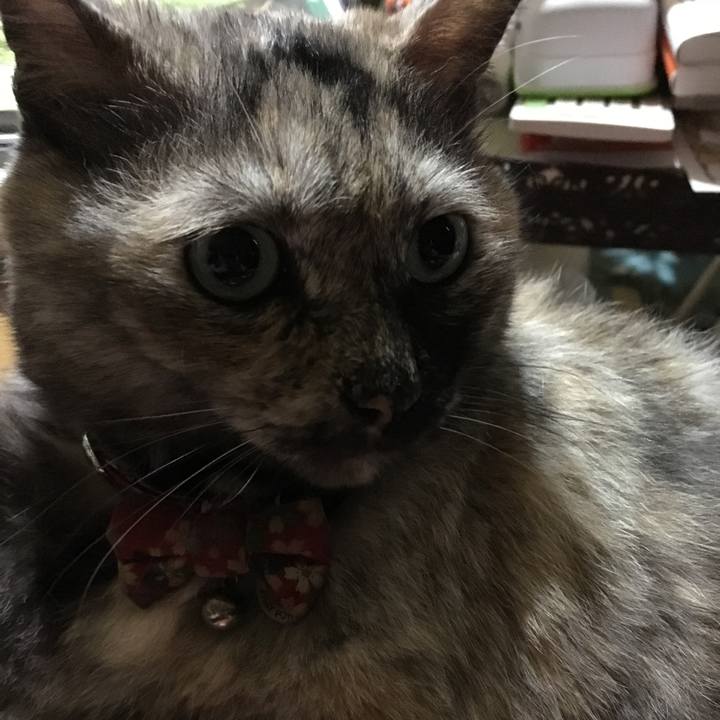 Dfc62d75 7bf6 49fe a1ac 34aa83e0b63a