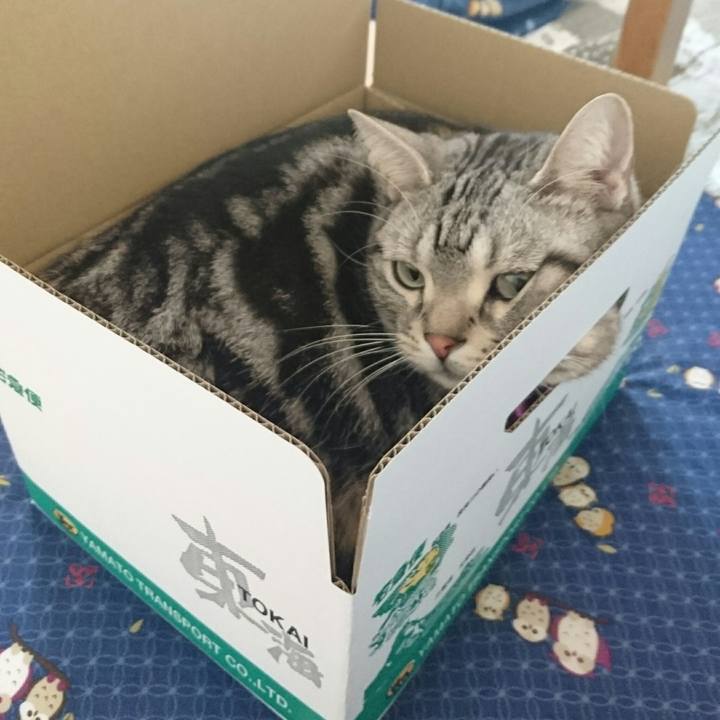 Dfc6bd83 2a83 4d93 9d1e be62c4a680a6