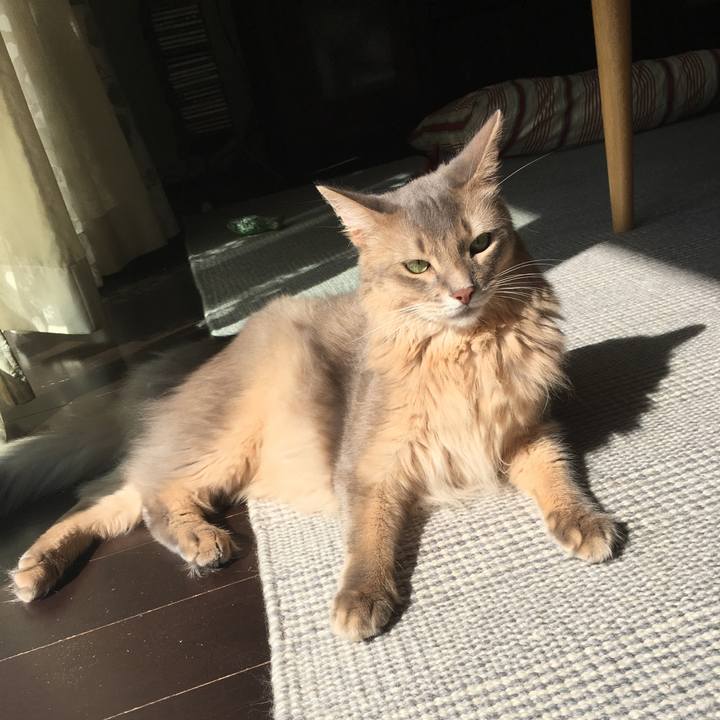 Dfc6c0a2 a7ba 4e73 95a7 91e67262dd51