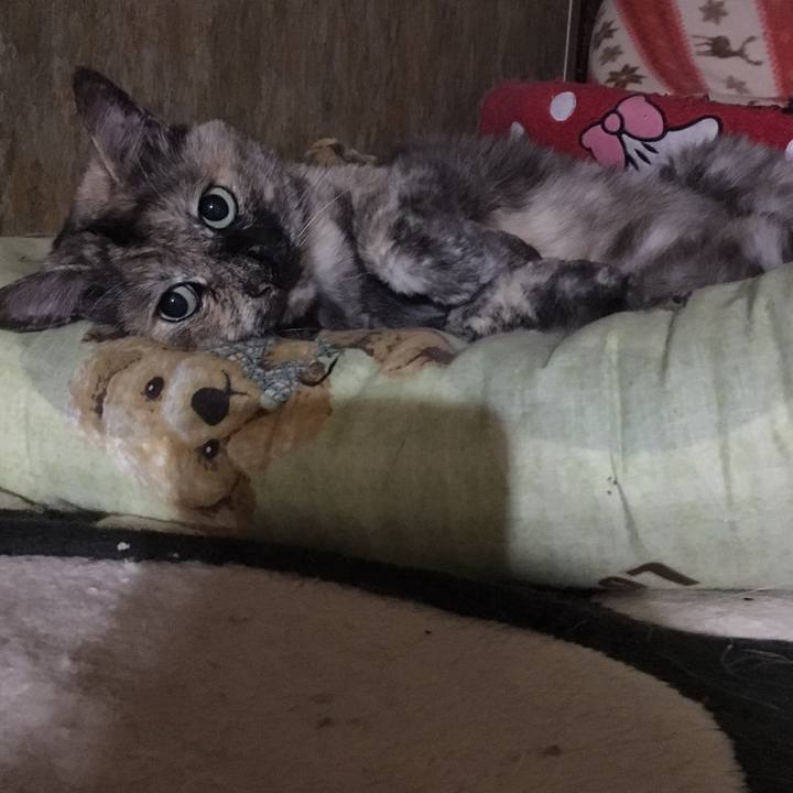 Dfc7712c 3a1b 43fe a68d 9bc3d9d9b39e