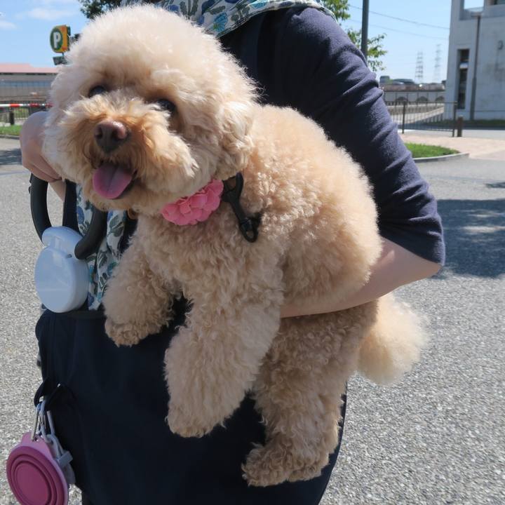 Dfc78e60 5fc9 4ff7 a1e6 8d8a61d7bb7f