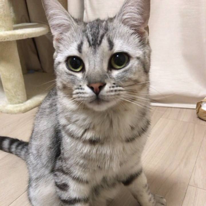 Dfc81399 e6eb 40fb 8802 a5cfc3c7a829