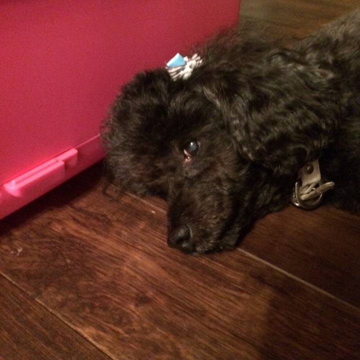 Dfc81626 878a 45a4 acb6 75d5a35f12fb