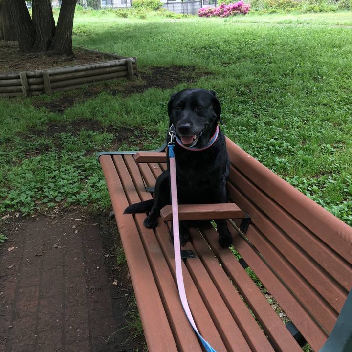 Dfc8f28c c8a2 46ef ae83 6b5f6f61bbb0