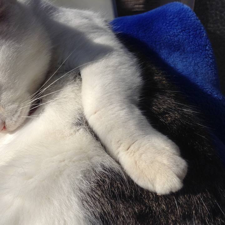 Dfc948d3 dcb7 4781 a820 bc6099ec4be5