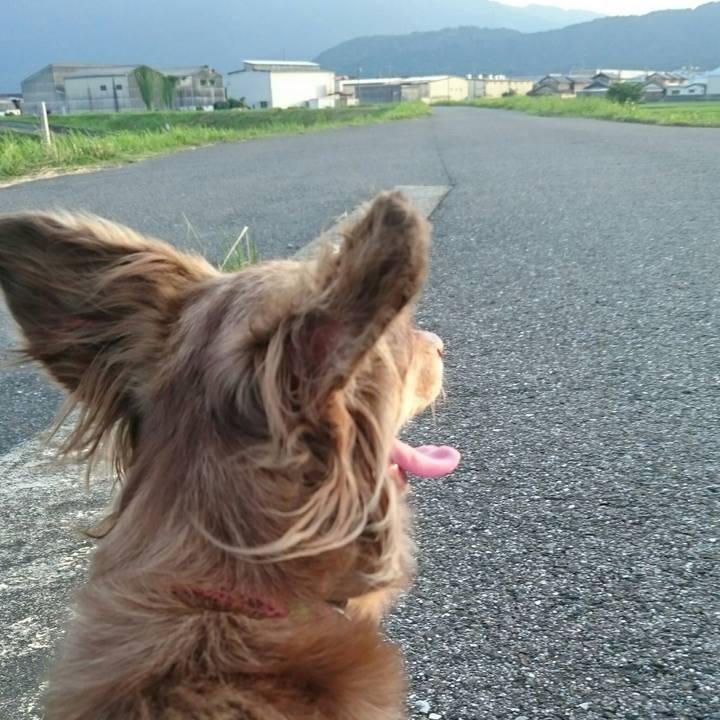 Dfc99edf 8564 4eea 9221 6d58fe8c87ac