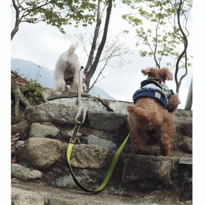 Dfc9b0aa e830 43e6 b637 ea776eb36031