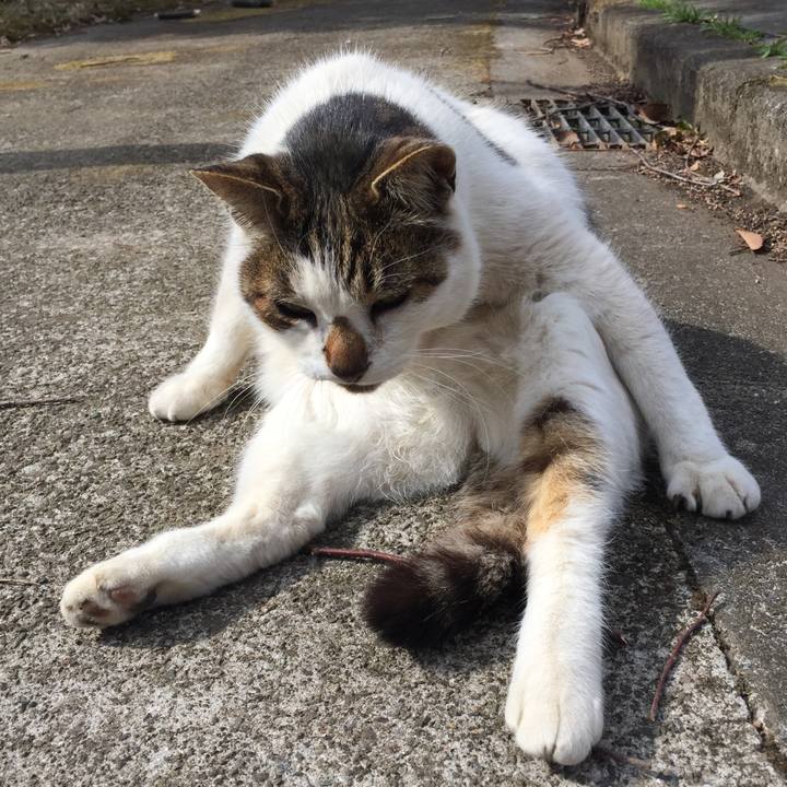 Dfca33bb 5c03 4760 887b 217372a45a7a