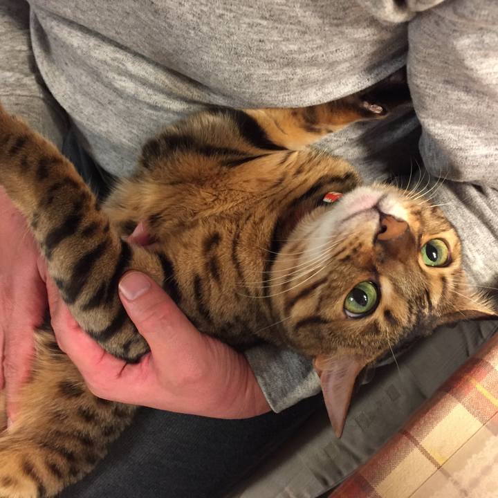 Dfcac3f9 4743 4394 a13f 869169ac6604