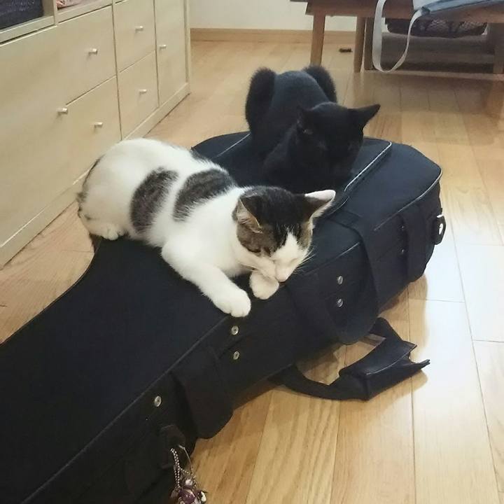 Dfcafa29 2c12 4960 892b 0d37db70ab6b