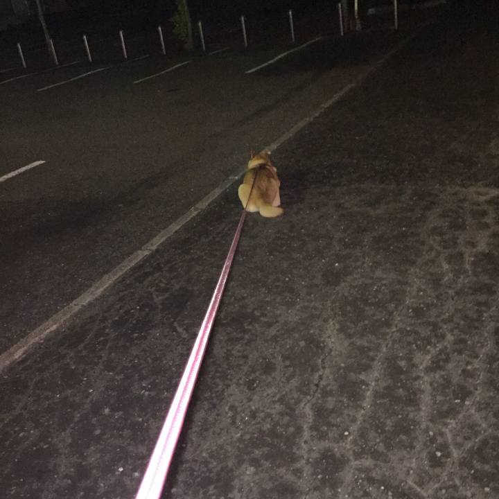 Dfcb1e9f 48c2 4689 a028 ff09068c55ec